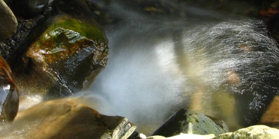 Small stream. Upper Treman State Park, near Ithaca, NY.