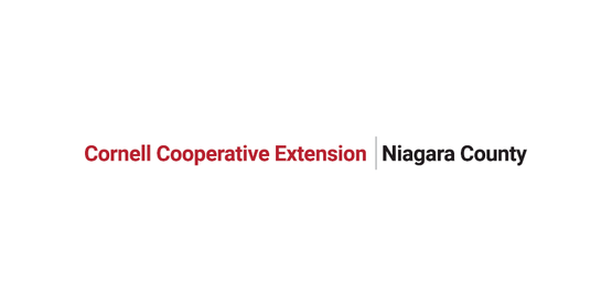 CCE Logo