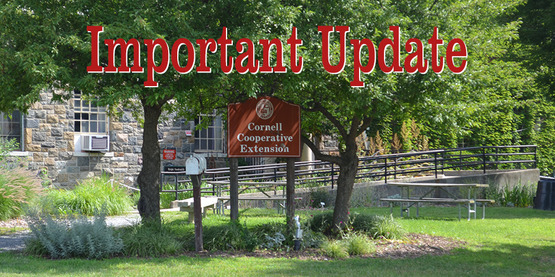 important update
