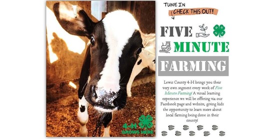 five minute farming
