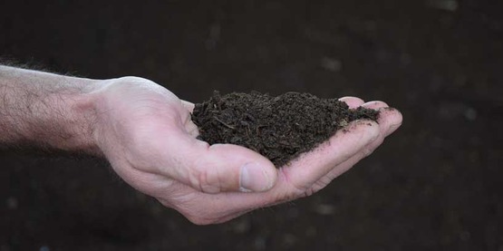 photo of a man's hand holding compost