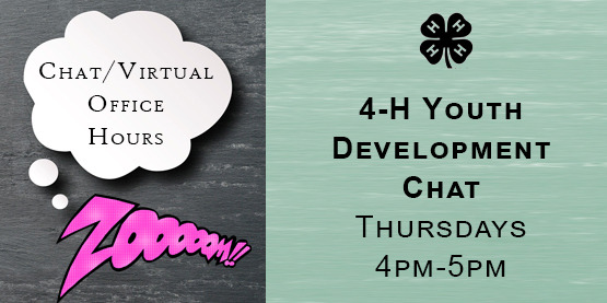4-H Youth Development Chat