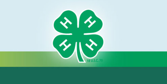 4-H Emblem Rainbow