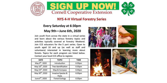 forestry weekend info