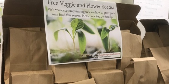 boxes of seeds in paper bags