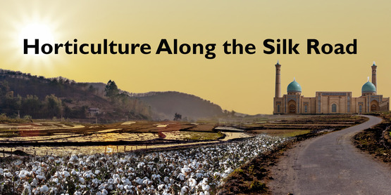 Horticulture Along the Silk Road