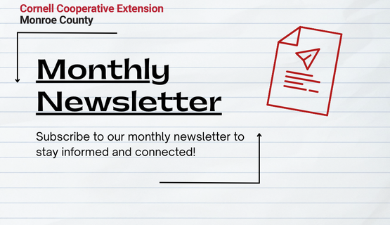 Newsletter Subscription - Black and White with Red envelope