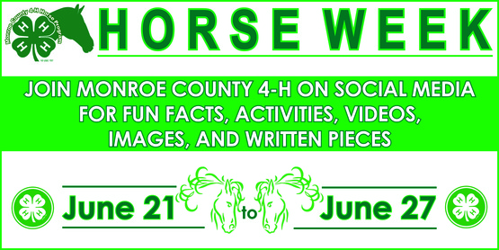2020 4-H Horse Week banner