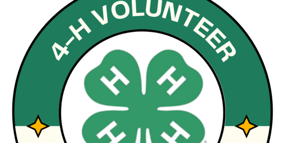 4-H Volunteer