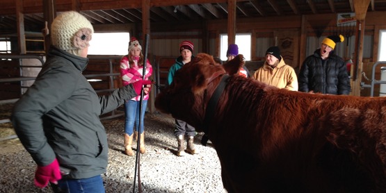 4-H Beef Workshop