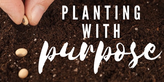 Planting with Purpose