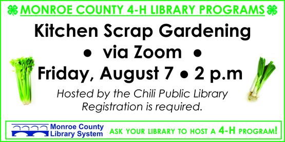 Library programs banner