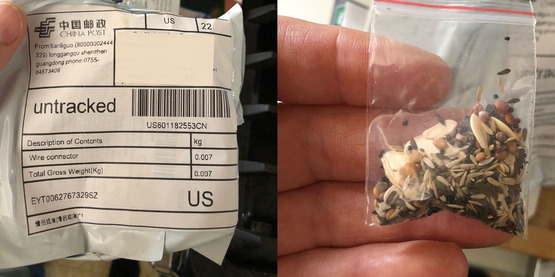 Packaging and bag of seeds mailed from China, unsolicited, mislabeled