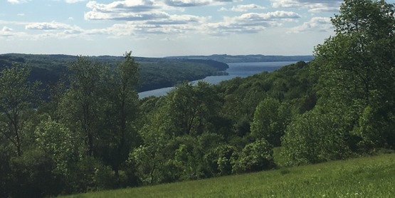 Hinchcliff Family Preserve next to Skaneateles Lake