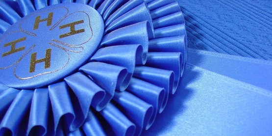 ribbon