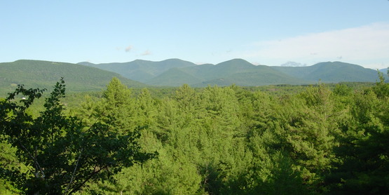 A view from Ashokan Quarry Trail
