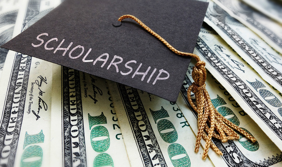 Apply now for the Master Gardener Scholarship!