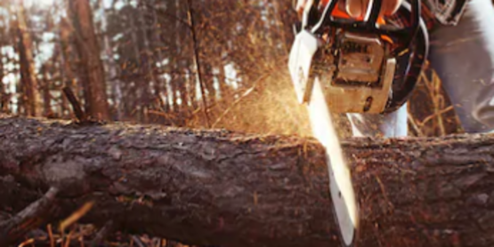 chainsaw