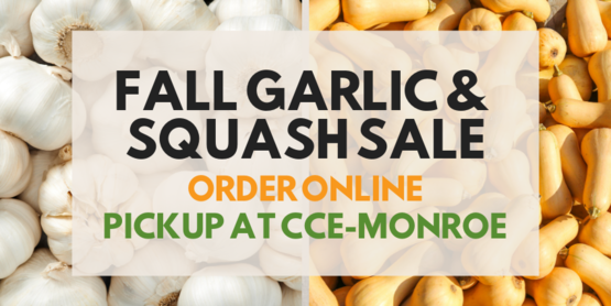 garlic and squash sale