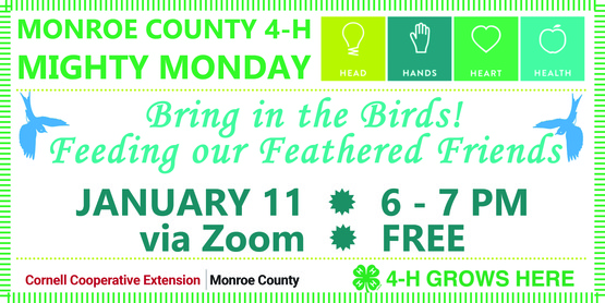 2021 January Mighty Monday Banner