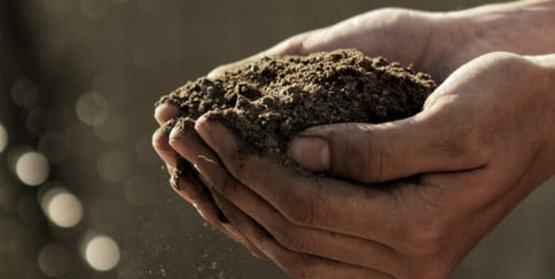 Soil