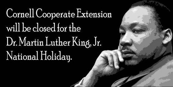 Graphic for closure on Dr. Martin Luther King, Jr. Day
Original photo is in the public domain in the National Archives.