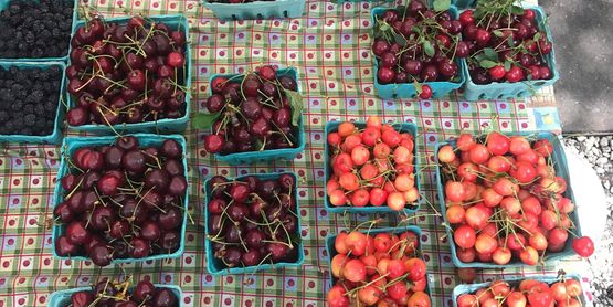 locally grown berries