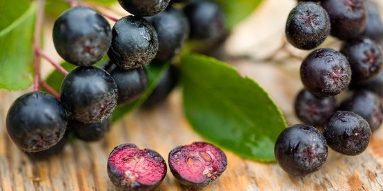 Uncommon fruit