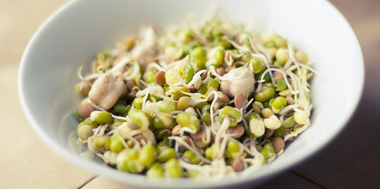 Sprouts, dish