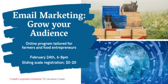 Email Marketing: Grow Your Audience