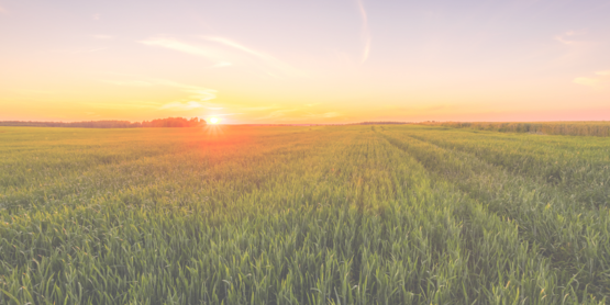 Farm Credit Ag Business Series