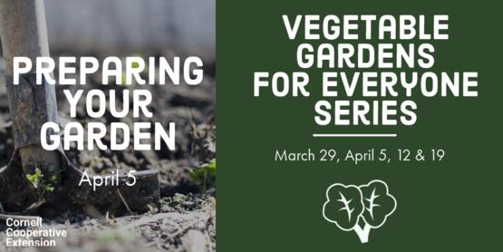 preparing your garden