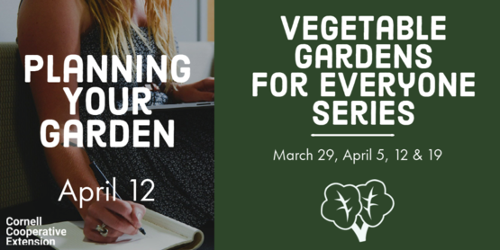veg series