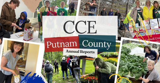 Collage of CCE Putnam activities