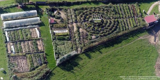 permaculture 