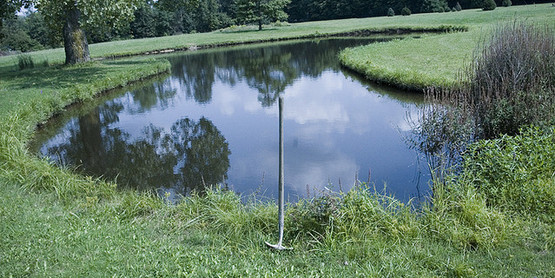 Shovel and Pond