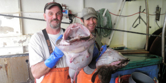 Joe Constanzo holding monk fish