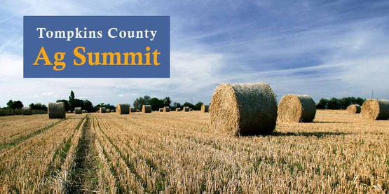 Image of round hay bales in a field with words "Tompkins County Ag Summit"