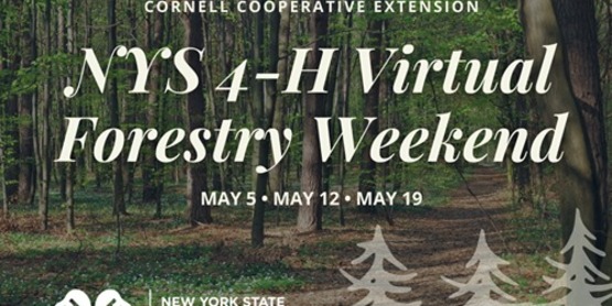 NYS 4-H Forestry Weekend