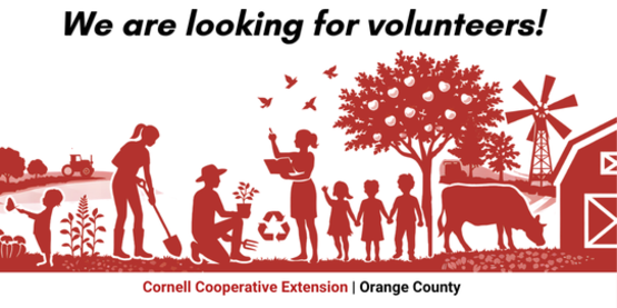 We are looking for volunteers!