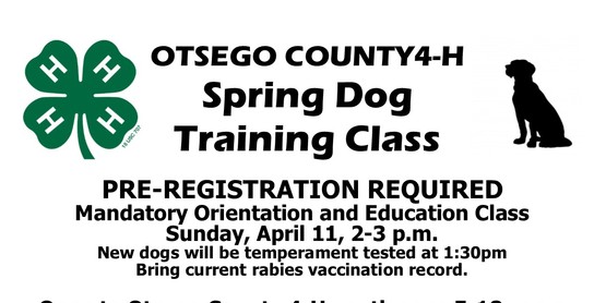 2021 Spring Dog Training Flyer