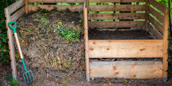 Compost