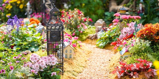 Colourful garden.