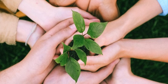 Ambassadors in Agriculture will provide real-life in agriculture experiences. Reinforce the importance of farming and agriculture in our community and highlight technology and improved practices.