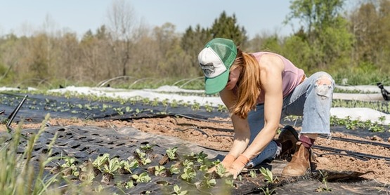 Ambassadors in Agriculture will provide real-life in agriculture experiences. Reinforce the importance of farming and agriculture in our community and highlight technology and improved practices.