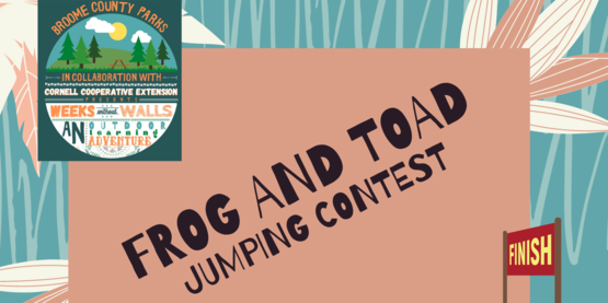 frog and toad