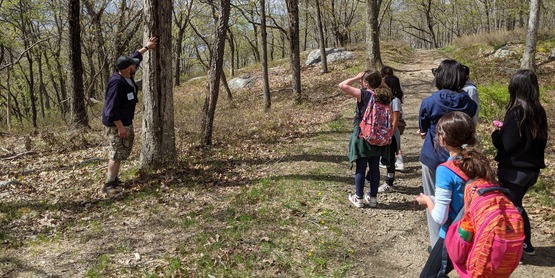 Youth view tree healing