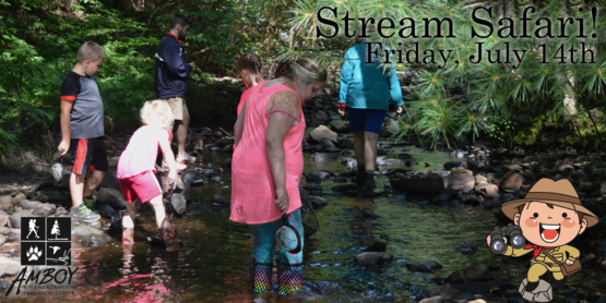 Stream Safari