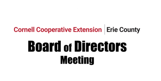 Board of Directors Meeting