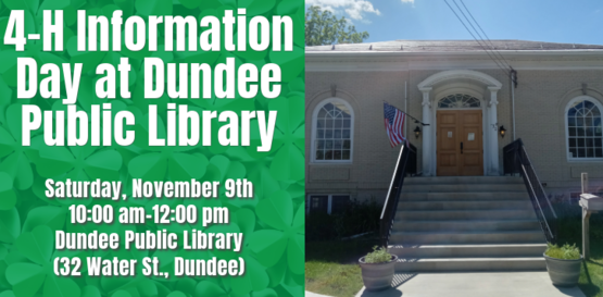4-H Dundee Public Library